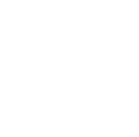 Ameba